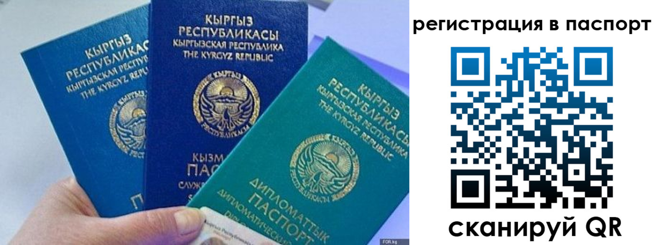 прописка 2025 в Братске